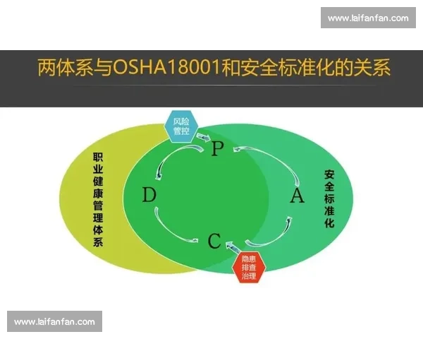 构建高效科学的体育训练体系提升运动员综合能力方法探索