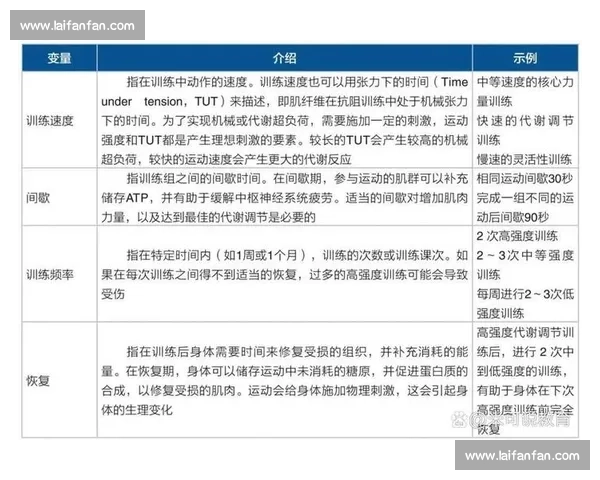 现代体育训练技术创新与科学方法提升运动表现研究